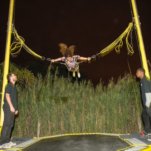 Bungee Trampolines - Image 4