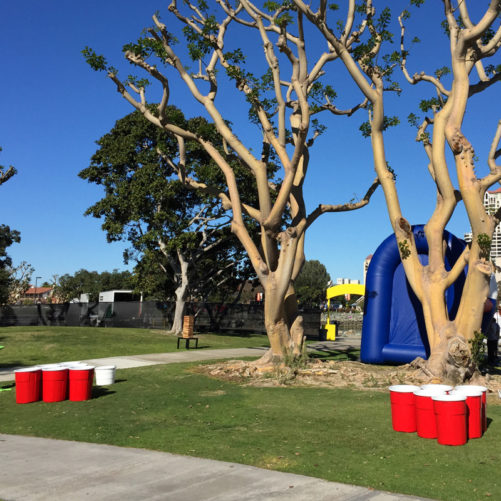 Giant Beer Pong - Image 3