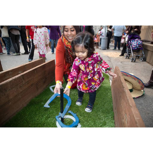 Horseshoes - Image 5