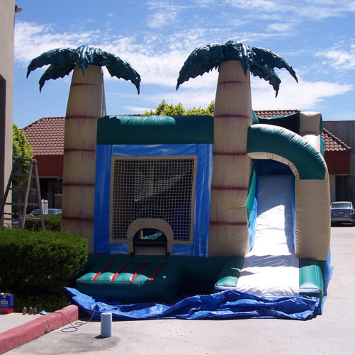 Jump & Slide Tropical - Image 2