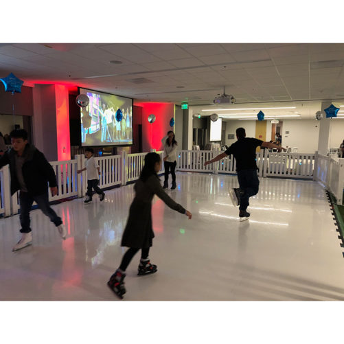 Ice Skating Rink - Image 2
