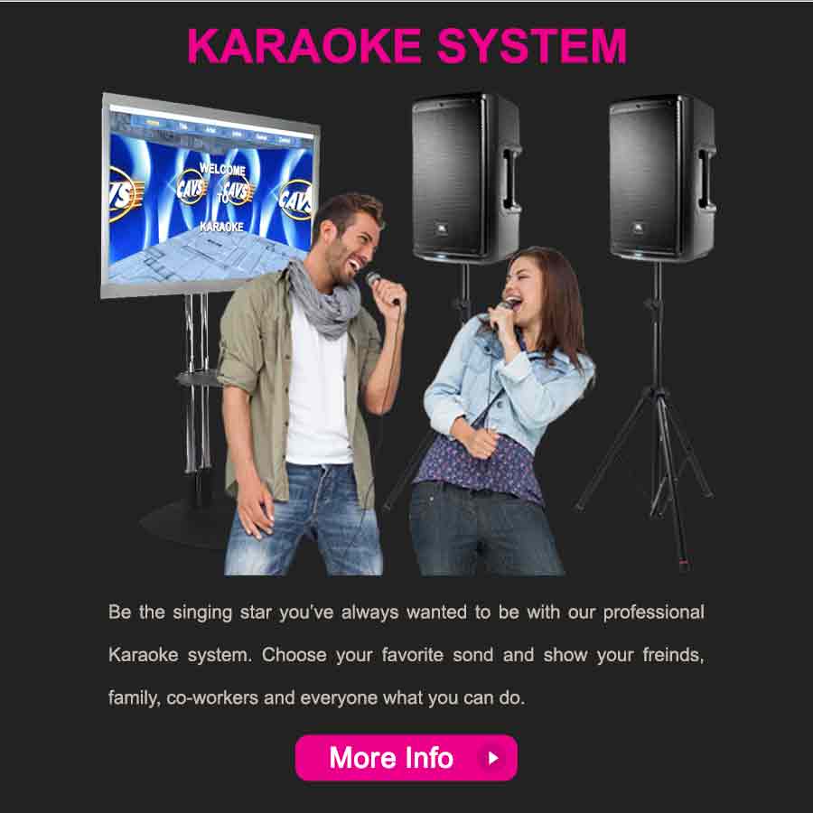 Party Pals Karaoke System Rental
